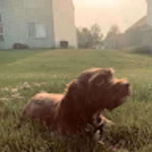 Meet your Posher, Sara